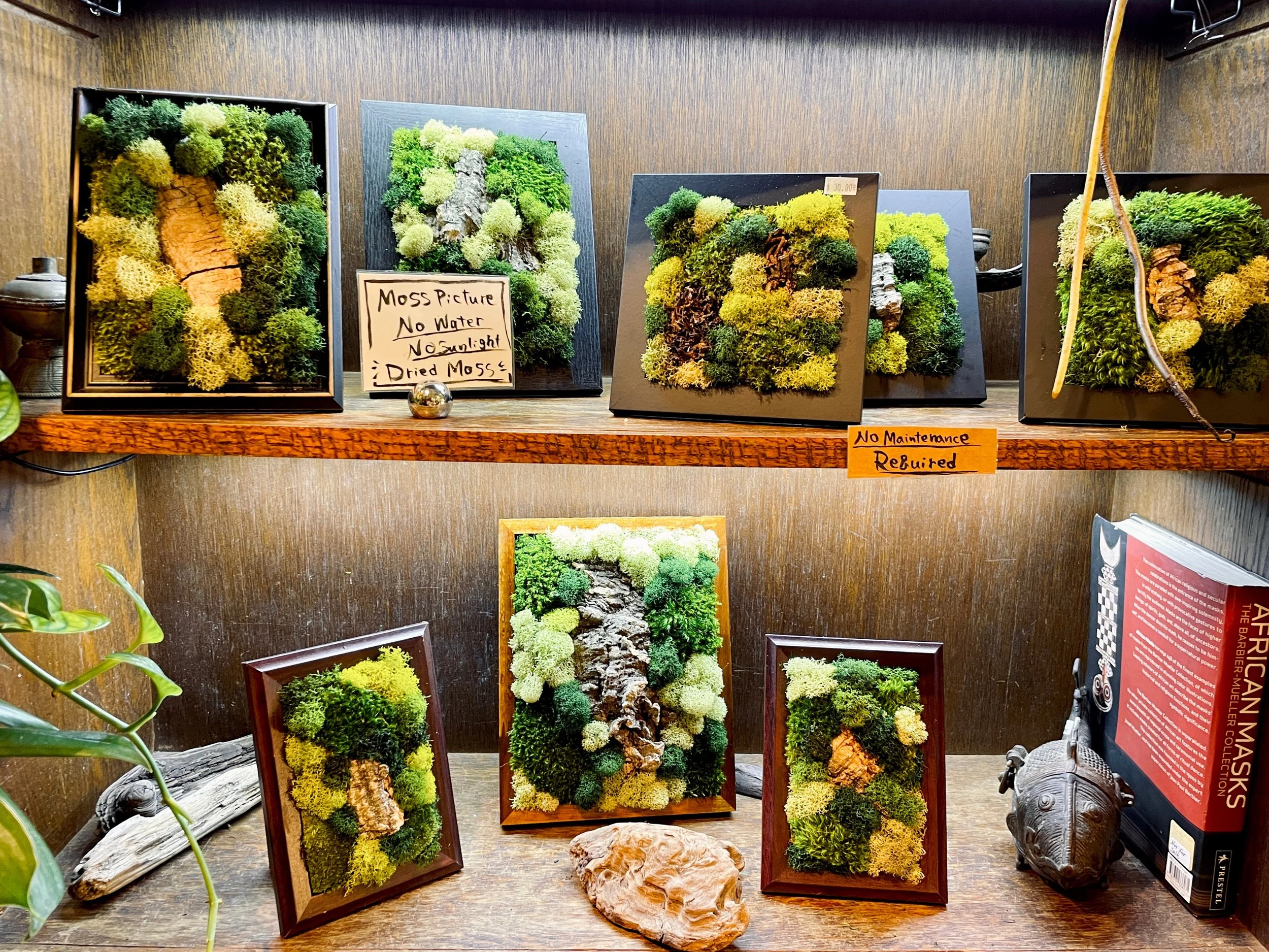 Utsuwa Botanical Design